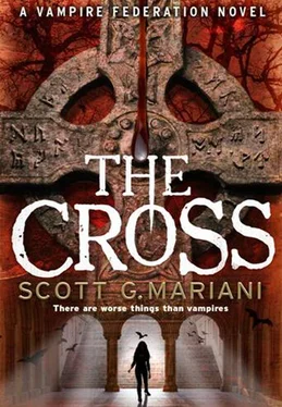 Scott G. Mariani The Cross обложка книги