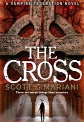 Scott G. Mariani - The Cross