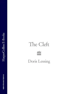 Doris Lessing The Cleft обложка книги