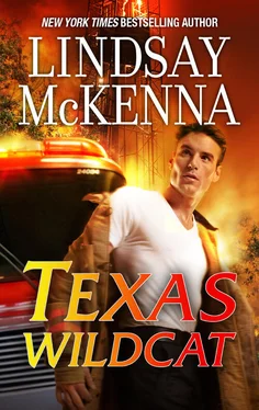 Lindsay McKenna Texas Wildcat обложка книги