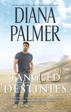 Diana Palmer Tangled Destinies обложка книги
