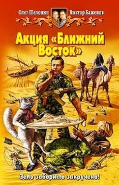 Олег Шелонин Акция Ближний Восток обложка книги