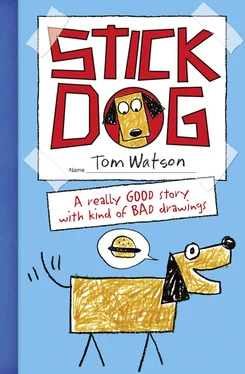 Tom Watson Stick Dog обложка книги