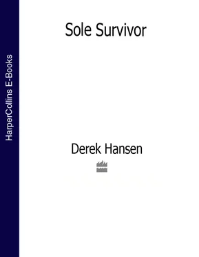 Derek Hansen Sole Survivor обложка книги