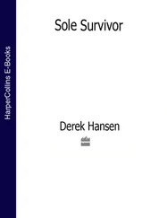 Derek Hansen - Sole Survivor