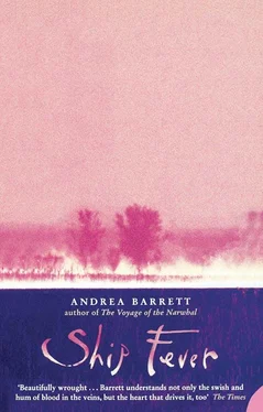 Andrea Barrett Ship Fever обложка книги