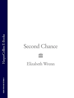 Elizabeth Wrenn Second Chance обложка книги