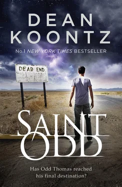 Dean Koontz Saint Odd обложка книги