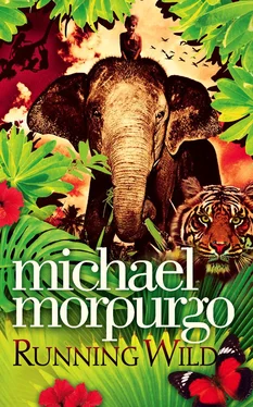 Michael Morpurgo Running Wild обложка книги