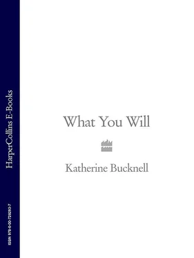 Katherine Bucknell What You Will обложка книги