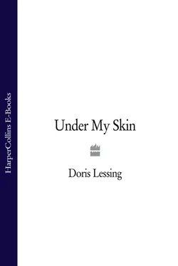 Doris Lessing Under My Skin обложка книги