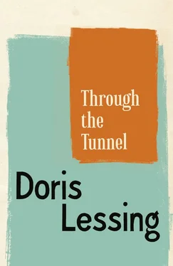 Doris Lessing Through The Tunnel обложка книги