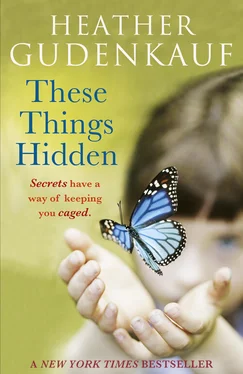 Heather Gudenkauf These Things Hidden обложка книги