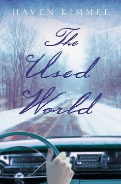 Haven Kimmel The Used World обложка книги