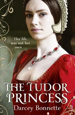 Darcey Bonnette The Tudor Princess обложка книги