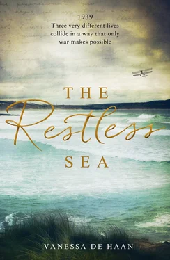 Vanessa Haan The Restless Sea обложка книги