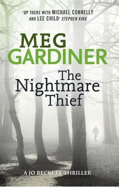 Meg Gardiner The Nightmare Thief обложка книги