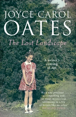 Joyce Oates The Lost Landscape обложка книги