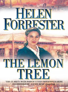 Helen Forrester The Lemon Tree обложка книги