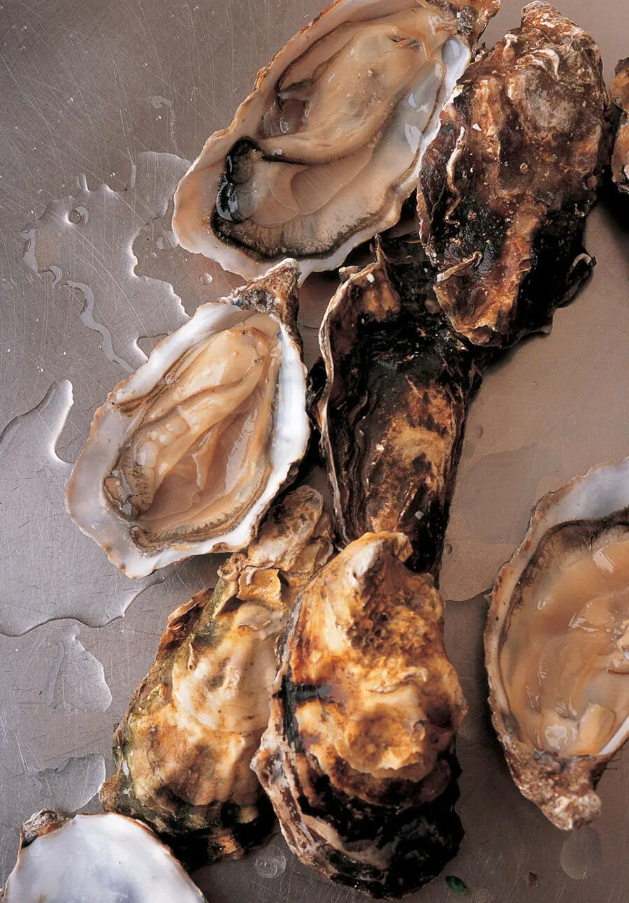 January 15 I buy oysters today fines de claire from the fish shop on - фото 5