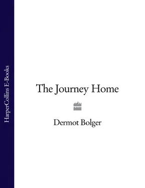 Dermot Bolger The Journey Home обложка книги