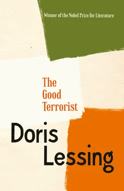 Doris Lessing The Good Terrorist обложка книги