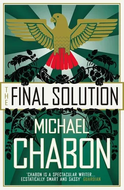 Michael Chabon The Final Solution обложка книги