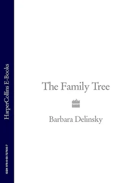 Barbara Delinsky The Family Tree обложка книги