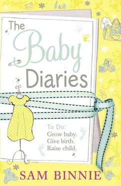 Sam Binnie The Baby Diaries обложка книги