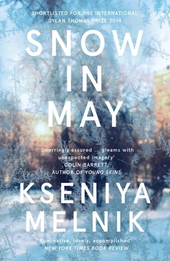 Kseniya Melnik Snow in May обложка книги