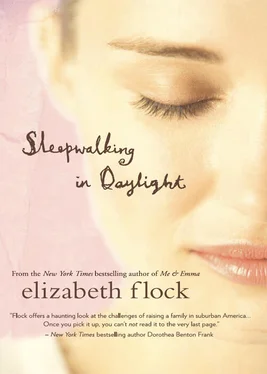 Elizabeth Flock Sleepwalking in Daylight обложка книги