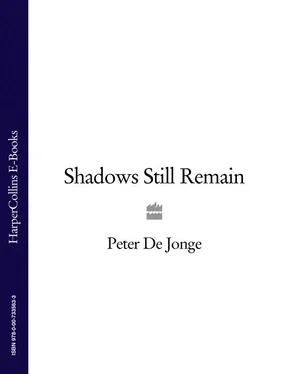 Peter Jonge Shadows Still Remain обложка книги