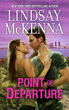 Lindsay McKenna Point Of Departure обложка книги