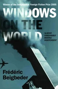 Frédéric Beigbeder Windows on the World обложка книги