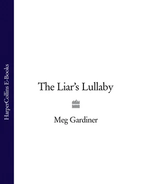 Meg Gardiner The Liar’s Lullaby обложка книги