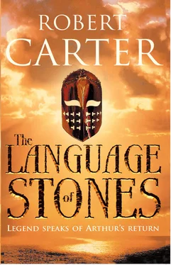 Robert Carter The Language of Stones обложка книги