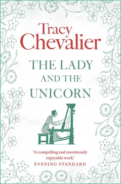Tracy Chevalier The Lady and the Unicorn обложка книги