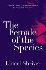 Lionel Shriver - The Female of the Species