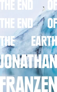 Jonathan Franzen The End of the End of the Earth обложка книги