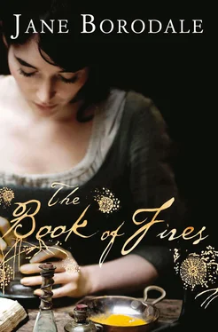 Jane Borodale The Book of Fires обложка книги