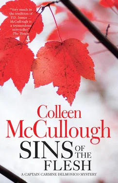Colleen McCullough Sins of the Flesh обложка книги