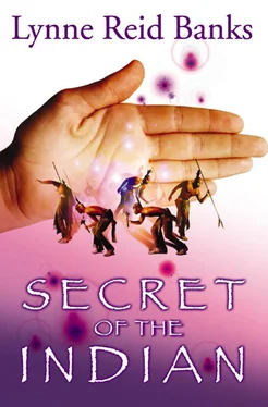 Lynne Banks Secret of the Indian обложка книги