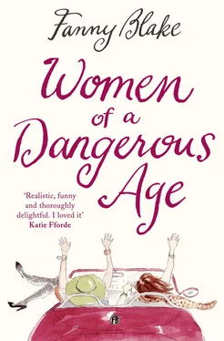 Fanny Blake Women of a Dangerous Age обложка книги