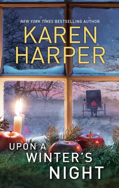 Karen Harper Upon A Winter's Night обложка книги