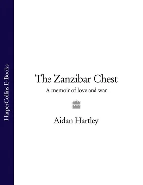 Aidan Hartley The Zanzibar Chest: A Memoir of Love and War обложка книги