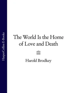 Harold Brodkey The World Is the Home of Love and Death обложка книги