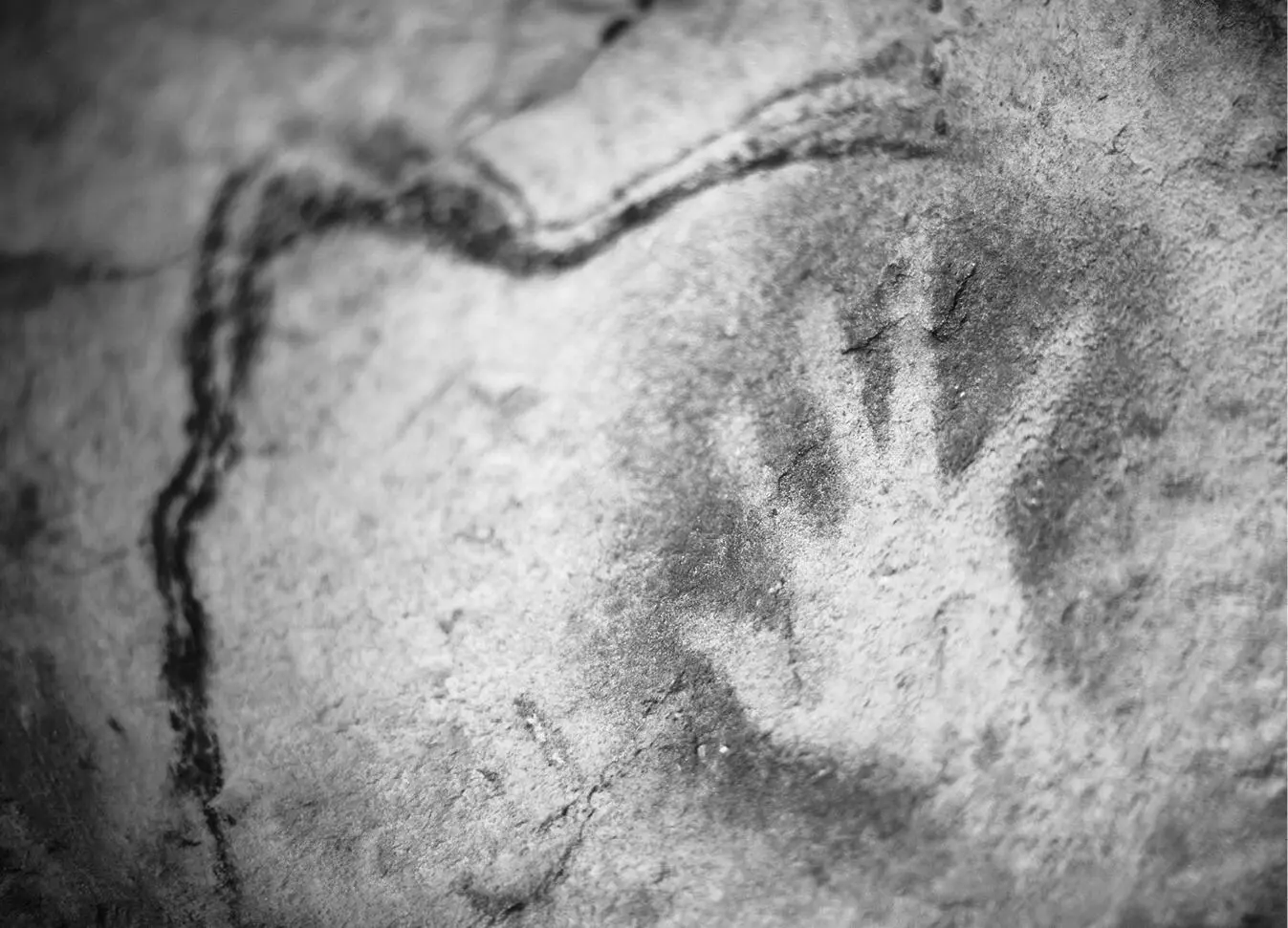 This image actually comes from an exact replica of Chauvet cave that opened in - фото 3