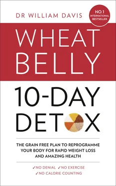 Dr Davis The Wheat Belly 10-Day Detox: The effortless health and weight-loss solution обложка книги