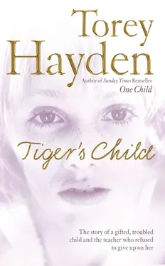 Torey Hayden The Tiger’s Child: The story of a gifted, troubled child and the teacher who refused to give up on her обложка книги