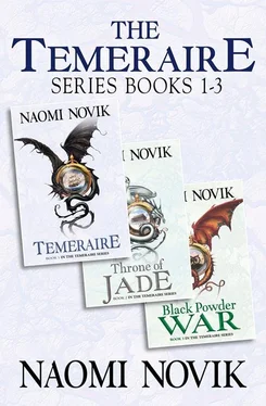 Naomi Novik The Temeraire Series Books 1-3: Temeraire, Throne of Jade, Black Powder War обложка книги